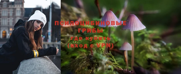 крисы Белоозёрский