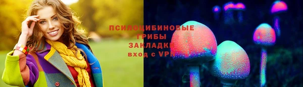 крисы Белоозёрский