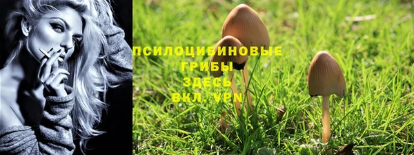 ALPHA PVP Белокуриха