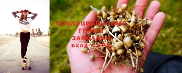 крисы Белоозёрский