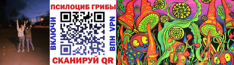 Псилоцибиновые грибы Cubensis ссылка на мегу вход Новотитаровская магазин